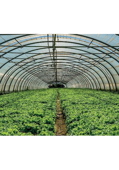 36 Aylık 350 Micron Sera Naylonu 12M X 25M