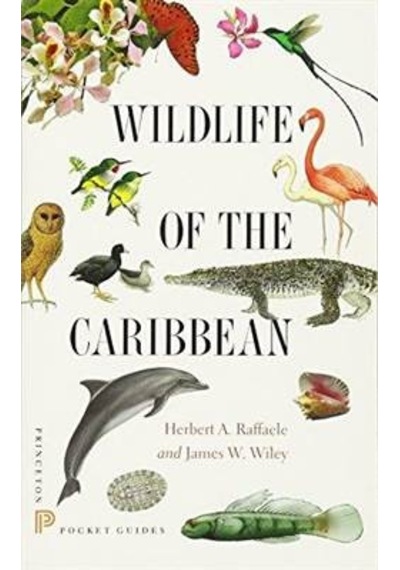 Wildlife Of The Caribbian 9780691153827