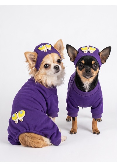 Violet Wings Köpek Bere Ve Tulum Kombini Mor Renk 3d Kelebek Aksesuarlı Penye Köpek Kıyafeti