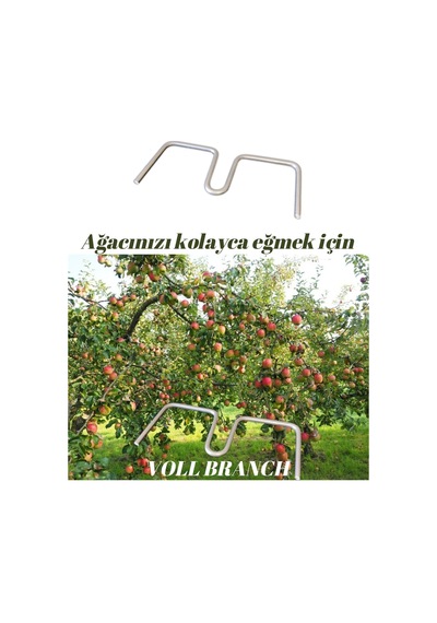 Voll Branch X5 Dal Eğim Desteği Ağaç Dalı Bükme Teli Metal 5 Adet