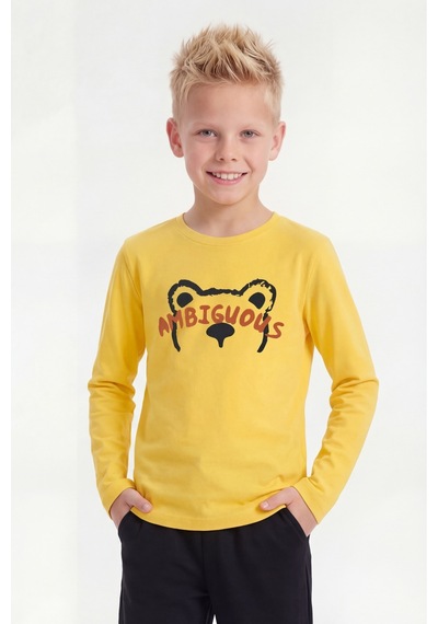 Panios Kids Yuvarlak Yaka Uzun Kollu Baskı Detaylı Erkek Çocuk Sweatshirt Sarı