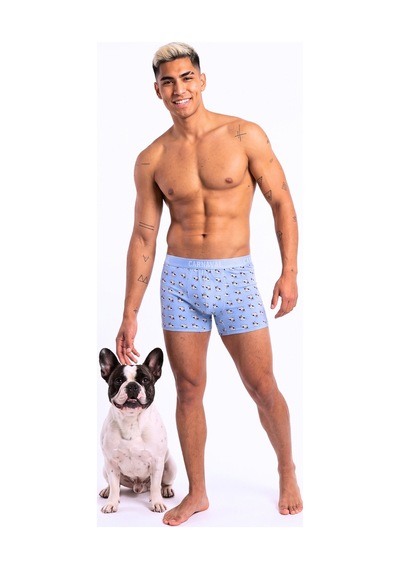 Carnaval Socks French Bulldog Köpek Desenli Erkek Boxer Pamuklu Likralı Parlak Lastikli Kutulu Açık Mavi Çoklu