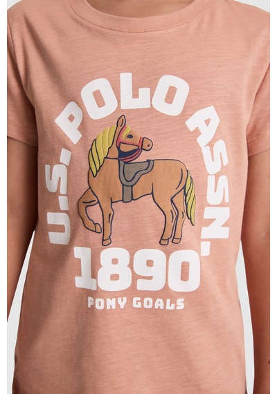 U.S. Polo Assn. U.s. Polo Assn. Erkek Çocuk Pudra Tişört 50327000-vr042
