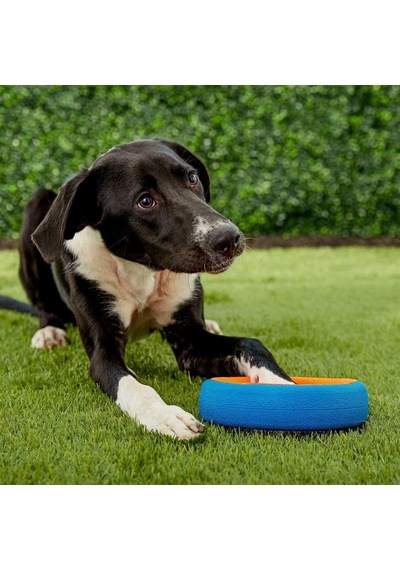 Fetch Wheel Köpek Oyun Halkası Küçük Boy