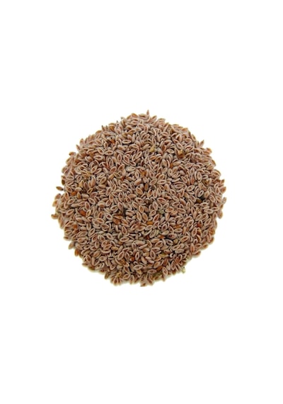 Derya Eren Karnıyarık Tohumu 250 G