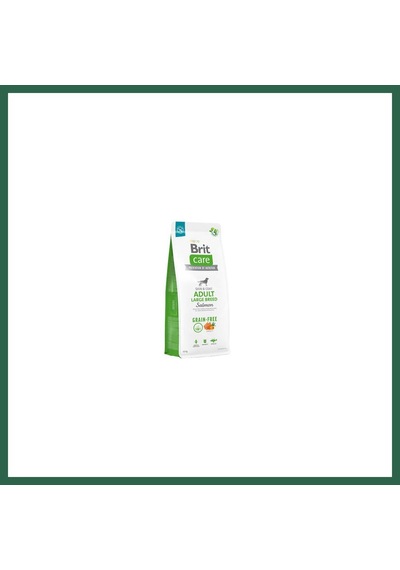 Brit Care Skin Coat Adult Large Breed Somonlu Büyük Irk Tahılsız Yetişkin Köpek Maması 12 Kg Bzs01