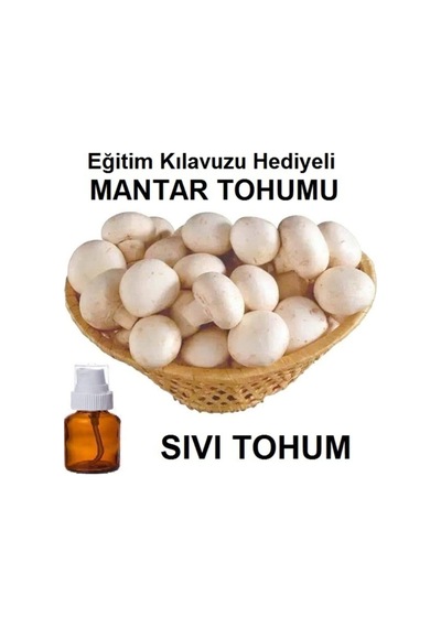 100 Ml Kültür Mantarı Tohumu