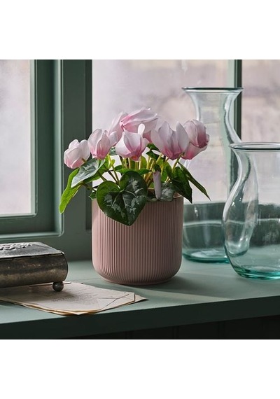 Ikea Fejka Yapay Bitki, Açık Pembe, 12 Cm, İç-dış Mekan Dağ Menekşesi
