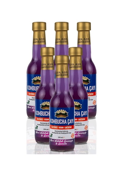 6 Adet Mavi Kelebek & Lavanta Kombucha 250ml. Cam Şişede