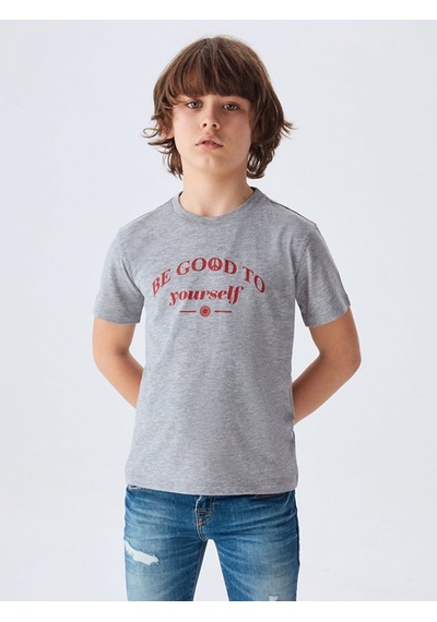 Ltb Ltb Logolu Bisiklet Yaka Gri T-shırt 03222284606481 203 03222284606481_203 Gri