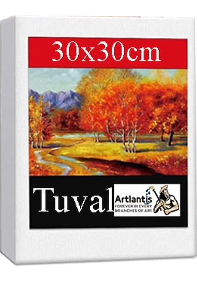 Kare Yuvarlak Ve Altıgen Tuval 30 Cm 1 Paket 30x30 Cm Arkadan Zımbalı Astarlı Resim Tuvali Akrilik Yağlı Boya Altıgen