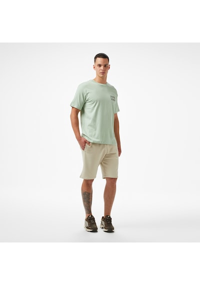 Billabong Twin Peaks Regular Erkek Yeşil T-shirt 24a351528 Krem