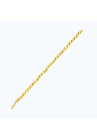 Altınbaş 22 Ayar Altın Zincir Bileklik Bzcbl0003-25641-3 Çok Renkli