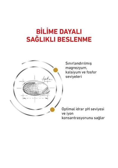 Royal Canin Urinary S/O Yetişkin Kedi Maması 7 KG