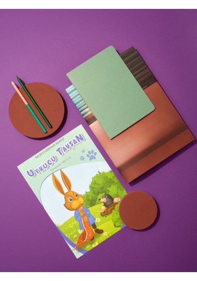 Neşeli Orman Maceraları 10 Eğitici Kitap 1. Ve 2.sınıflar Etkinlikli Kutulu