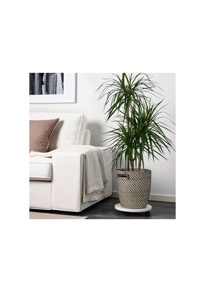 Ikea Rågkorn Plastik Saksı 24 Cm Naturel