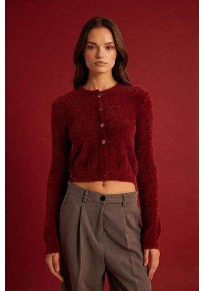 DeFacto Regular Fit Bisiklet Yaka Düğmeli Triko Bordo Hırka E2428AX24WNBR248 Bordo