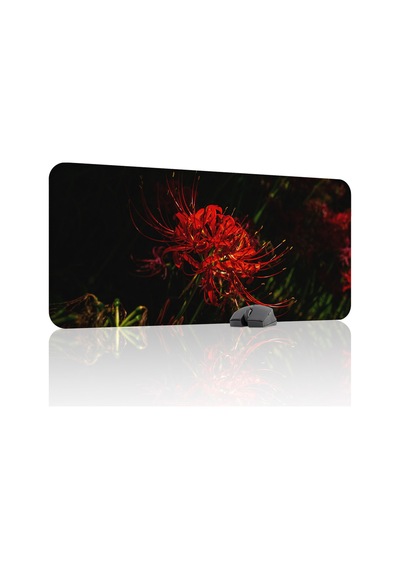 Higanbana Kaymaz Dikişli Kauçuk Oyuncu Mousepad V2 - 90x40 Xxl Gaming Mouse Pad Fare Altlığı