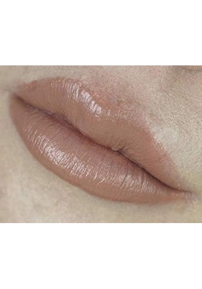 Nude Look Natural Shine Lipgloss No: 02 Pinky Nude - Doğal Parlak Dudak Parlatıcısı