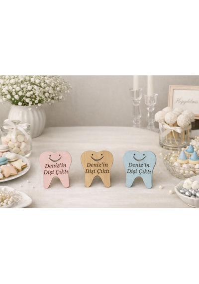 Diş Temalı Magnet Diş Çıkarma Etkinliği İçin Şık Ve Modern 25 Adettir No 041