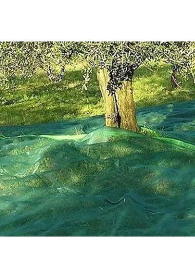 Hasat Zeytin, Dut, Kayısı Toplama Filesi 6x5 M Renksiz