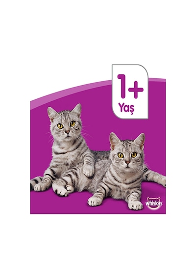 Dreamies Dreamıes Tavuklu Kedı Odulu Maması 60 Gr X 6 Adet