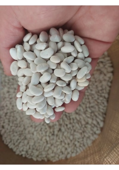 Kuru Fasulye 2 Kg