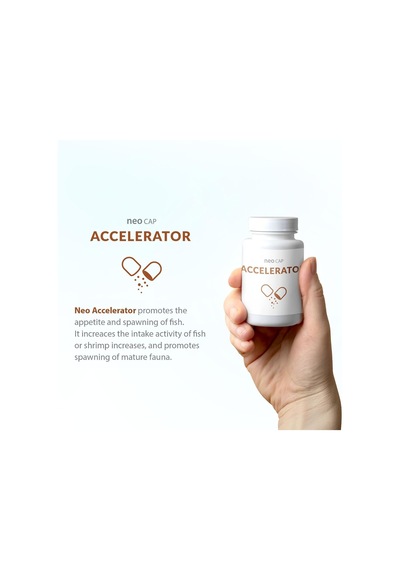 Neo Cap Accelerator