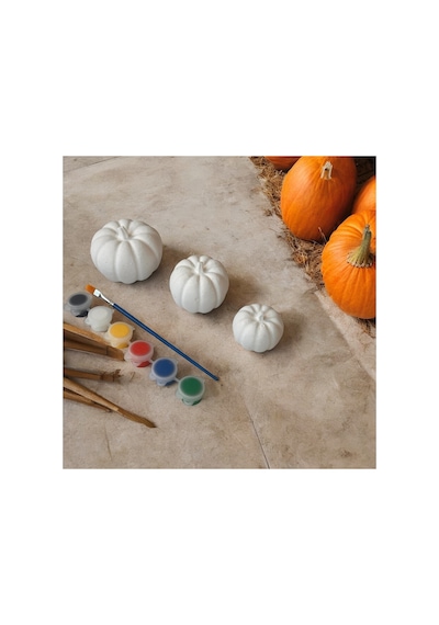 Pumpkin Kabak 3 Boy Büyük Orta Ve Küçük Boy Boyama Seti Taş Tozu Halloween