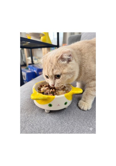 Ayaklı Pikachu Kedi Seramik Mama Kabı