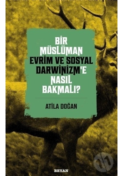 Bir Müslüman Evrim Ve Sosyal Darwinizm'E Nasıl Bakmalı?