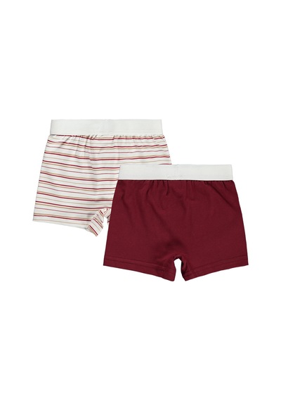 Civil Boys Truck 2-12 Yaş Erkek Çocuk 2'li Boxer Standart