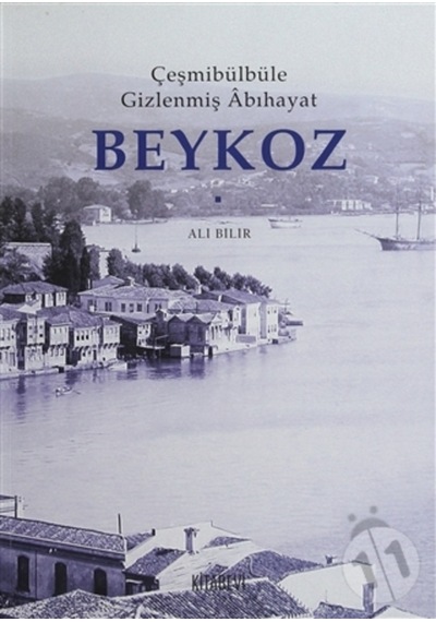 Çeşmi Bülbüle Gizlenmiş Abıhayat Beykoz 172475051