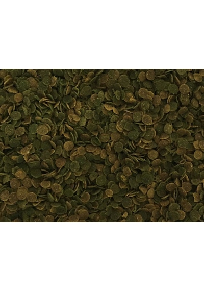 Lotus Protect Algae Garlic Kova Balık Yemi 2400 G