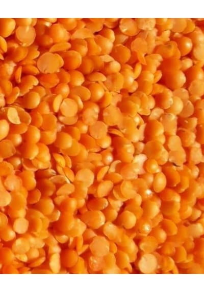 Orti Futbol Kırmızı Mercimek 25 KG