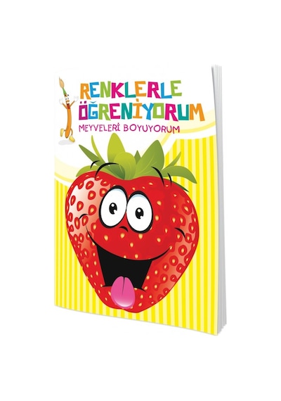 Renklerle Öğreniyorum Boyama Seti-Renkli ve Örnekli-10 Kitap Takım- Ema Çocuk