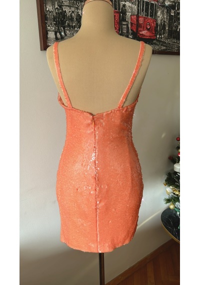 Chica Rosa Fashion Somon Pullu Mini Elbise