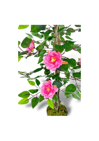Yapay Ağaç Pembe Nilüfer Ağacı 90cm