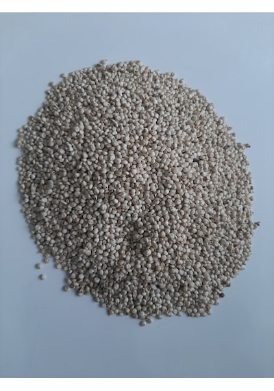 Mh Güvercin Yem Beyaz Sorgun Yerli 5 KG