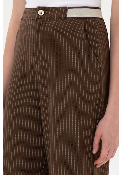 U.S. Polo Assn. Kadın Kahverengi Çizgili Loose Fit Kanvas Pantolon 50317169-VR029