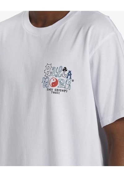 Billabong Worded Tees Erkek Tişört Abyzt02273-10