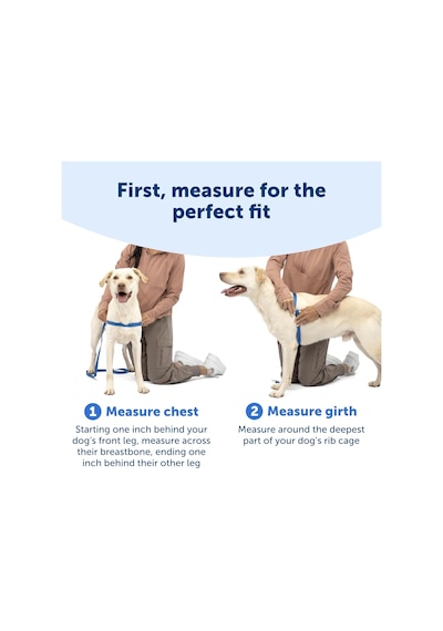 Easy Walk No-pull Köpek Göğüs Tasması, Çekmeyi Önlemeye Yardımcı, Kontrolü Ele Alın Ve Tasmayla Ahudududu/gri