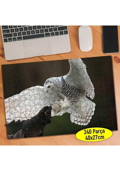 Baykuş Eğitmeni Yırtıcı Hayvan 240 Parça Puzzle Yapboz-36613