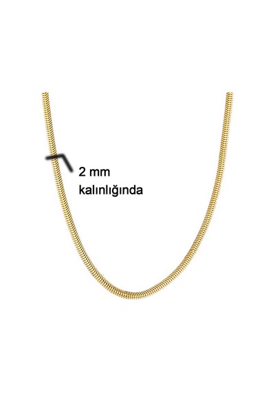 Bilezikci 14 Ayar Altın Balıksırtı Zincir 40 cm