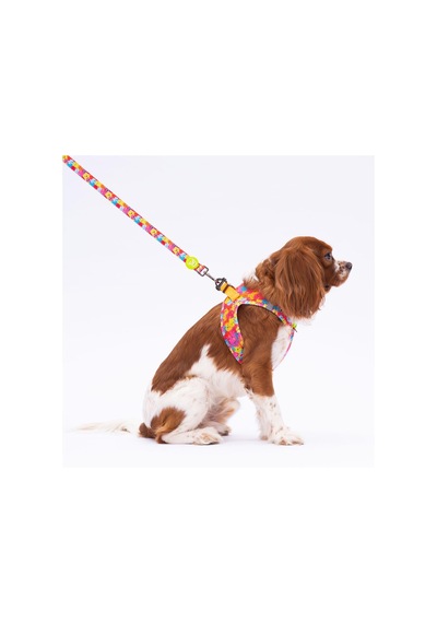 Pawstar Monsters Leash Kedi Köpek Sevk & Gezdirme Kayışı Köpek Uzatma Tasması Çok Renkli