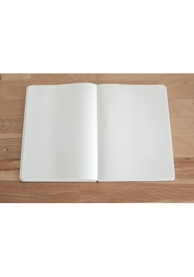 Nss Standard Tomoe River Journal A5 480 Pages Unknown Binding Çok Renkli