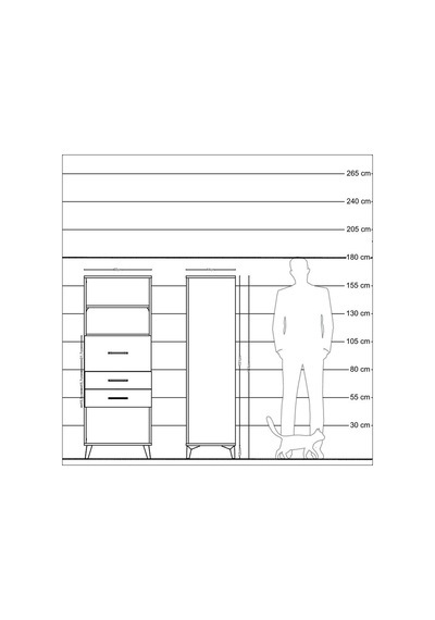 Hyperion Dolap 2 Raflı 3 Çekmeceli 60x44x163 Çam-antrasit Çam