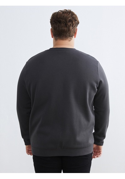 Lcwaıkıkı Classic Antrasit Büyük Beden Bisiklet Yaka Erkek Sweatshirt