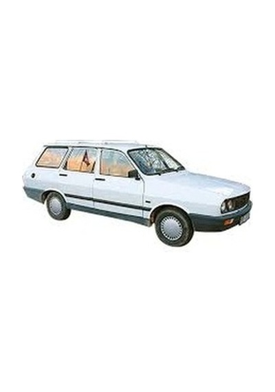 Renault 12 Toros Tavan Lambası 6000046100