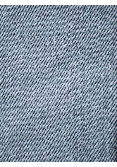 Regular Fit Erkek Ceket Alex Blue